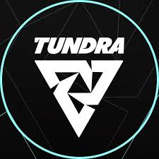 Will Tundra Esports reach the Grand Final of the BLAST Slam IV tournament? - DuelDuck prediction market