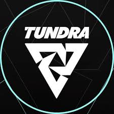Will Tundra Esports defeat Team Falcons in their FISSURE PLAYGROUND 2 match on October 31? - DuelDuck prediction market