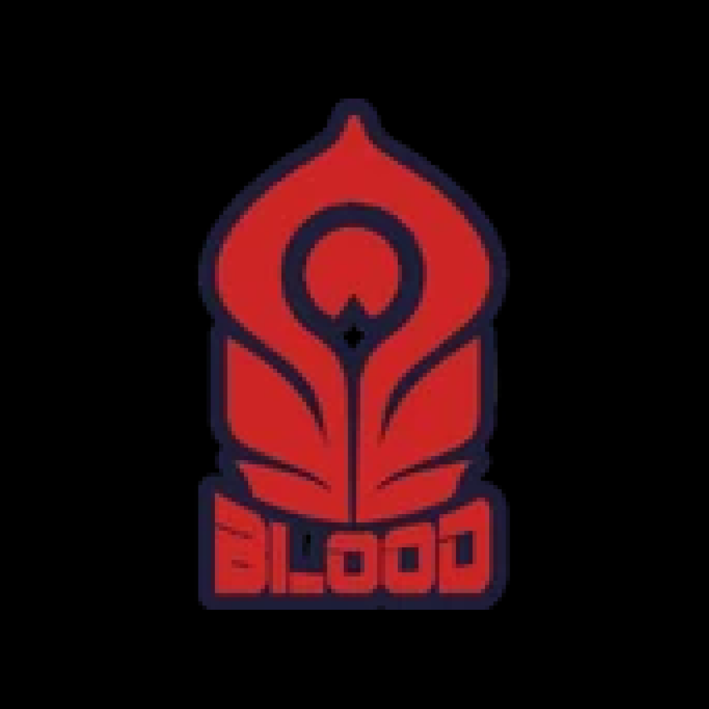 Will Blood win Demacia Cup 2024?
 - DuelDuck prediction market