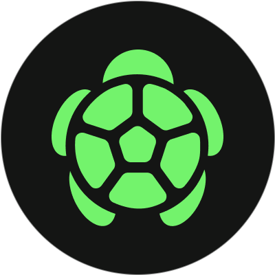 Will the $TURTLE market cap exceed $250M on its first launch day? - DuelDuck prediction market