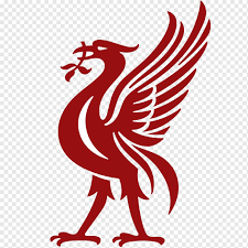 Will Liverpool beat Bournemouth in their match on August 15? - DuelDuck prediction market