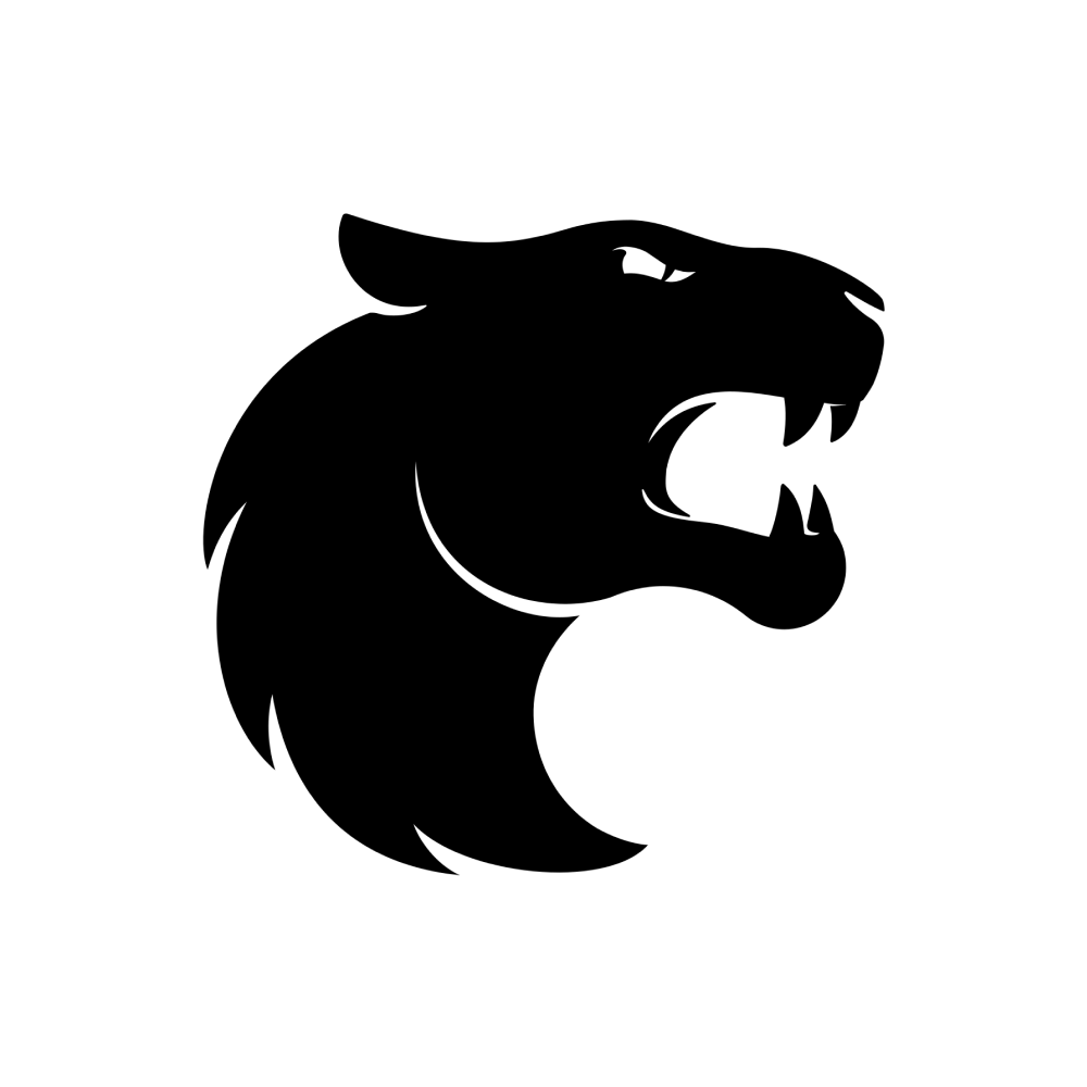 Will FURIA qualify for the Major Opening Stage with a 3-0 score? - DuelDuck prediction market