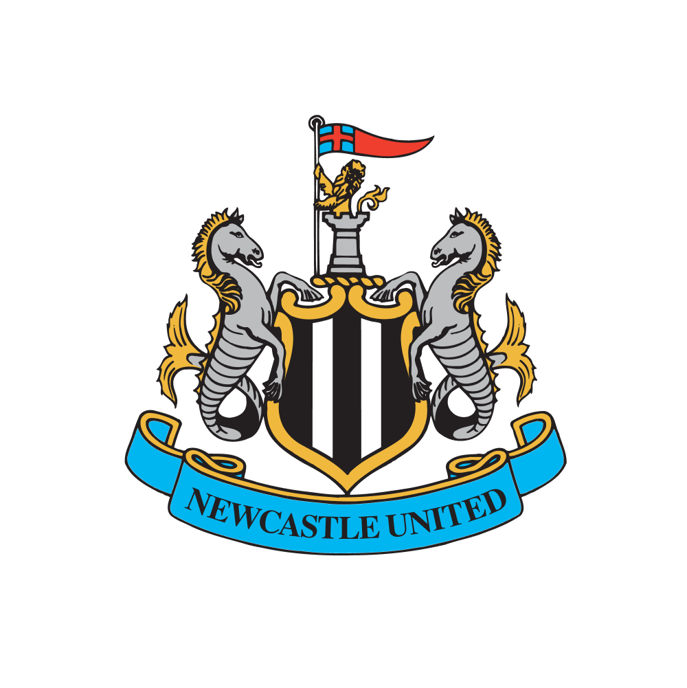 Premier League: Will Newcastle score at least 1 goal in the match against Arsenal? - DuelDuck prediction market