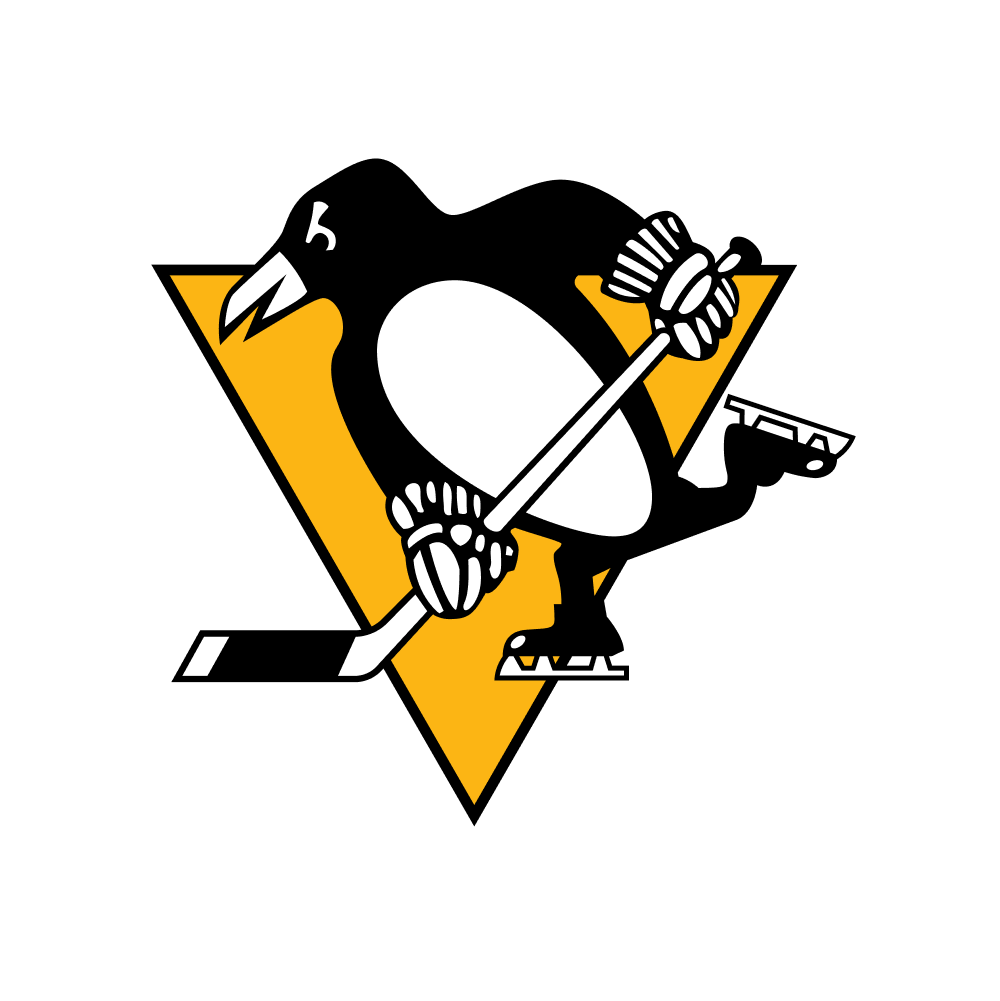 NHL: Will Pittsburgh Penguins win the match against Washington Capitals? - DuelDuck prediction market