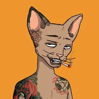 RinovMRN